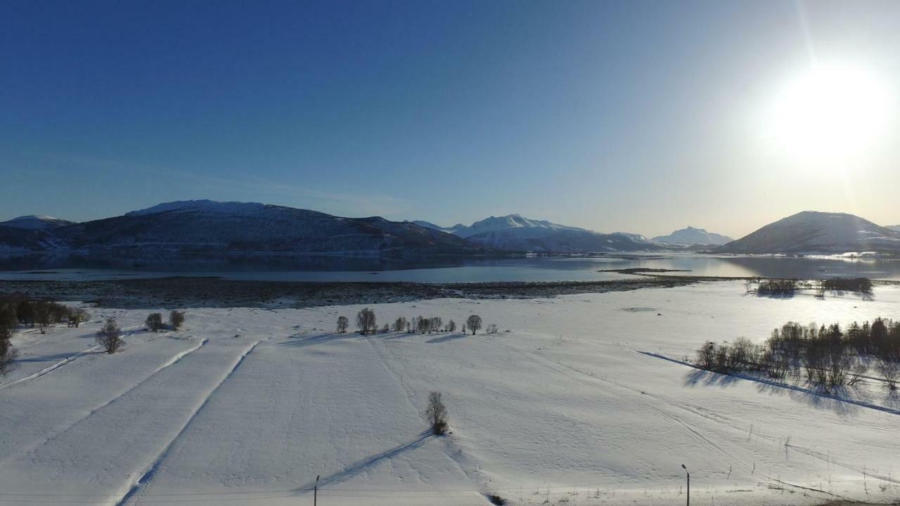 1 Room In The Yellow House, Close To Airport & Lofoten Evenskjer Buitenkant foto
