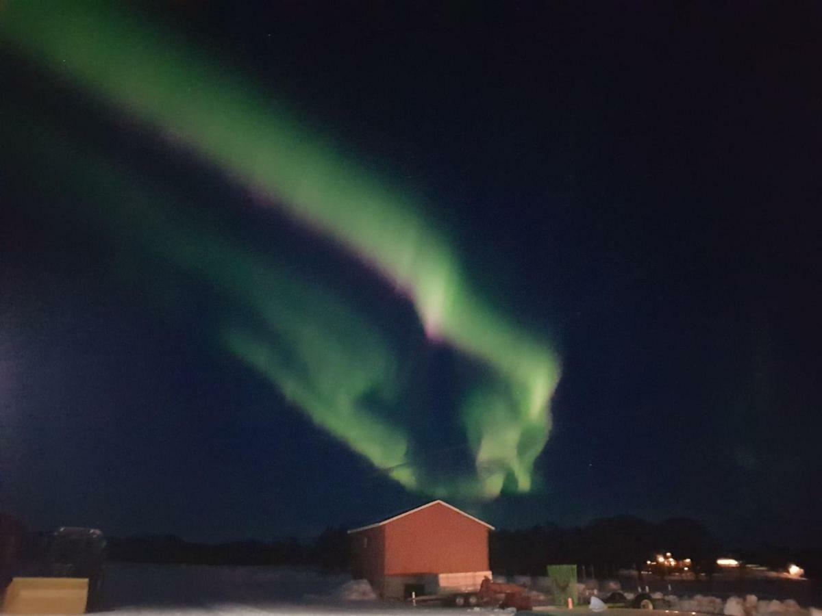 1 Room In The Yellow House, Close To Airport & Lofoten Evenskjer Buitenkant foto
