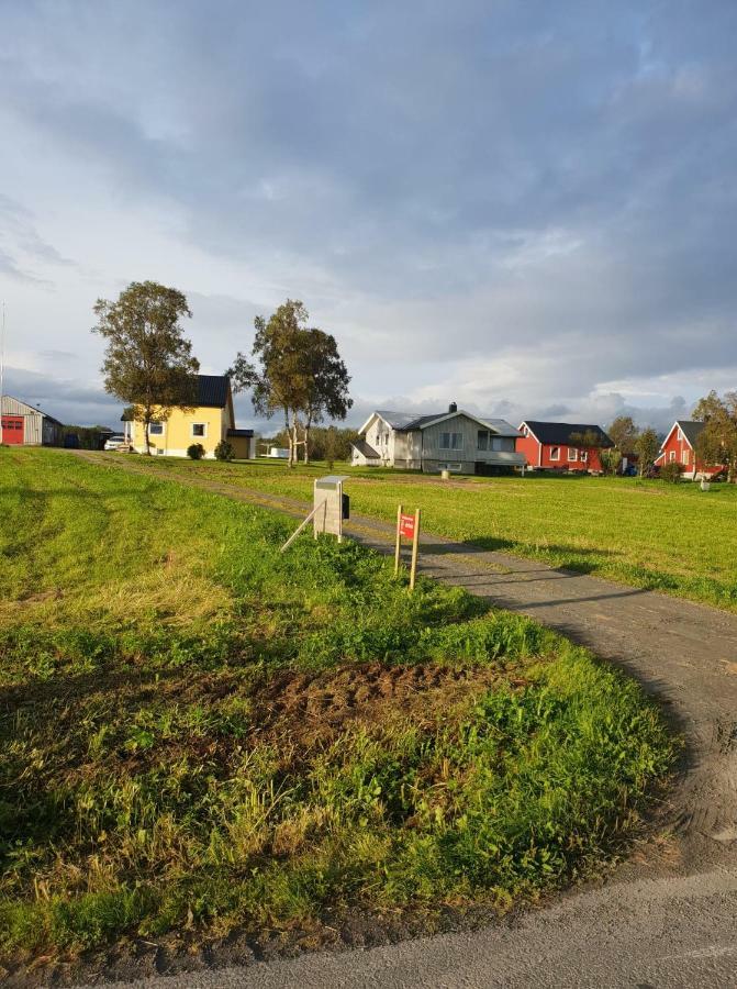 1 Room In The Yellow House, Close To Airport & Lofoten Evenskjer Buitenkant foto