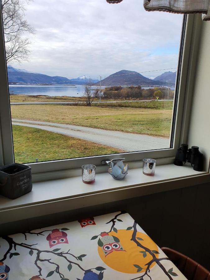 1 Room In The Yellow House, Close To Airport & Lofoten Evenskjer Buitenkant foto