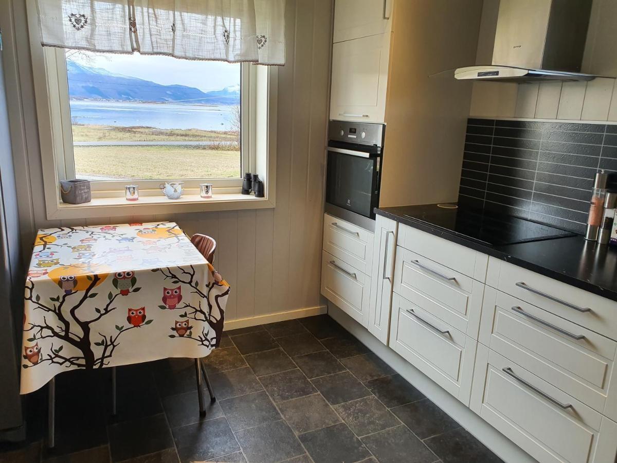 1 Room In The Yellow House, Close To Airport & Lofoten Evenskjer Buitenkant foto