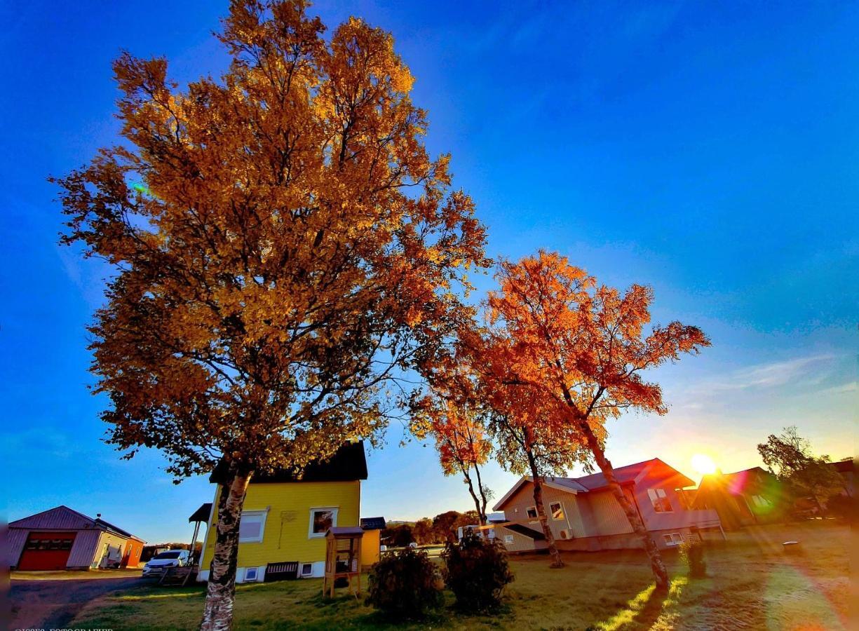 1 Room In The Yellow House, Close To Airport & Lofoten Evenskjer Buitenkant foto