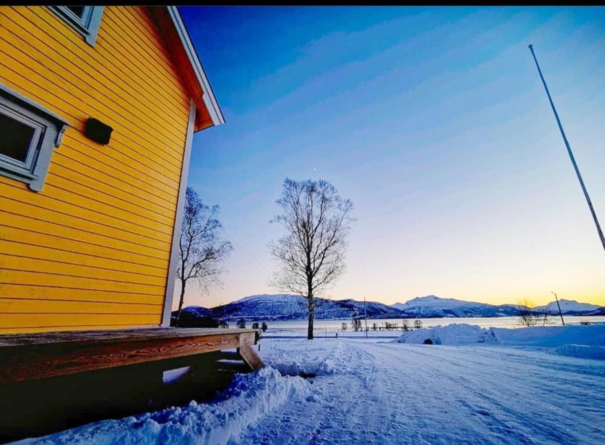 1 Room In The Yellow House, Close To Airport & Lofoten Evenskjer Buitenkant foto
